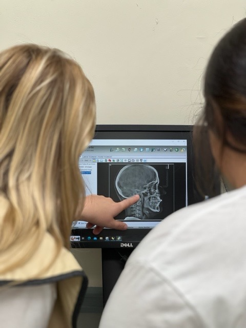 Student viewing xray on a computer monitor